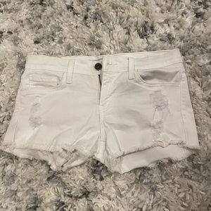 Flying monkey cutoff shorts